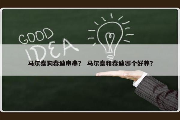 马尔泰狗泰迪串串？ 马尔泰和泰迪哪个好养？