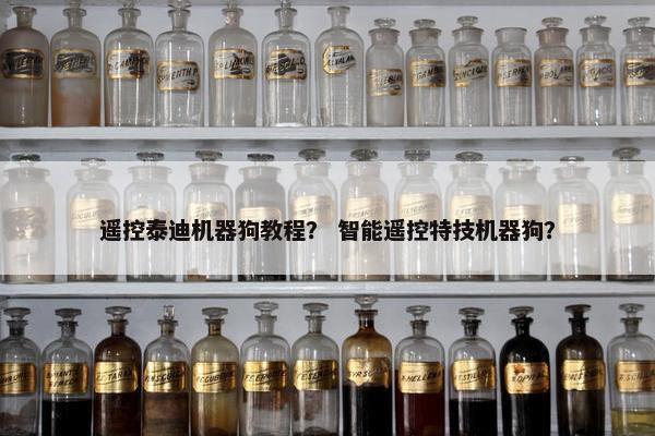 遥控泰迪机器狗教程？ 智能遥控特技机器狗？