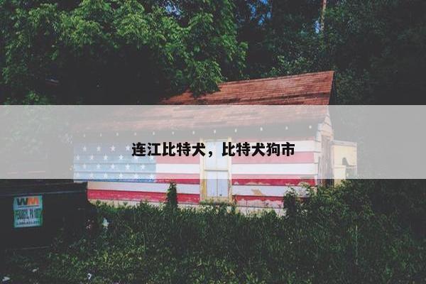 连江比特犬，比特犬狗市