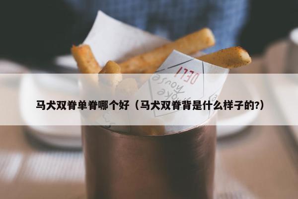 马犬双脊单脊哪个好（马犬双脊背是什么样子的?）