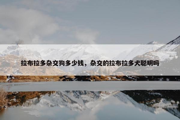 拉布拉多杂交狗多少钱，杂交的拉布拉多犬聪明吗