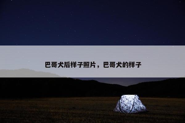 巴哥犬后样子照片，巴哥犬的样子