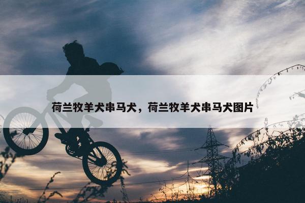 荷兰牧羊犬串马犬，荷兰牧羊犬串马犬图片