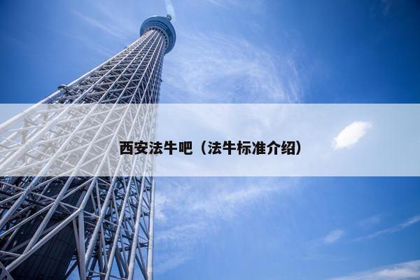 西安法牛吧（法牛标准介绍）
