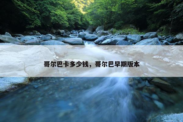 哥尔巴卡多少钱，哥尔巴早期版本