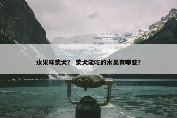水果味柴犬？ 柴犬能吃的水果有哪些？