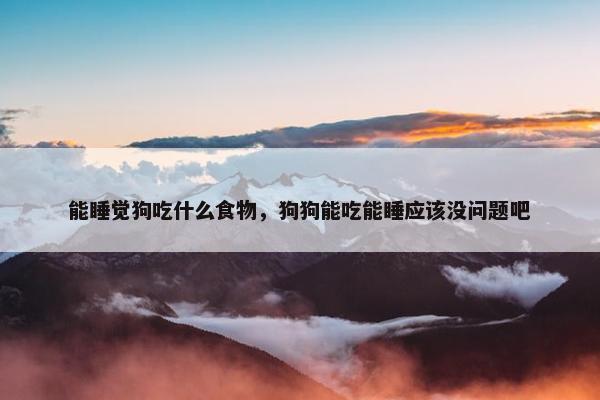 能睡觉狗吃什么食物，狗狗能吃能睡应该没问题吧