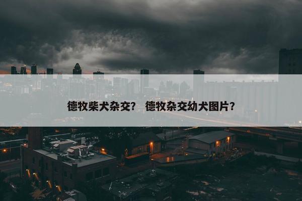 德牧柴犬杂交？ 德牧杂交幼犬图片？