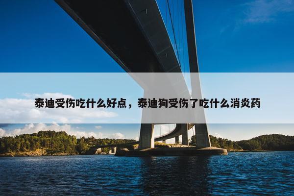 泰迪受伤吃什么好点，泰迪狗受伤了吃什么消炎药