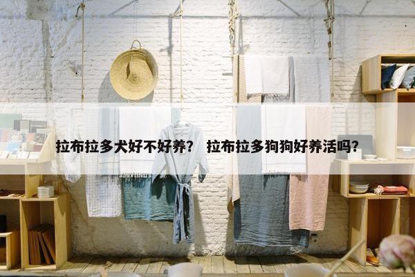 拉布拉多犬好不好养？ 拉布拉多狗狗好养活吗？
