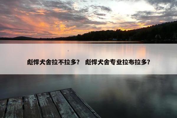 彪悍犬舍拉不拉多？ 彪悍犬舍专业拉布拉多？