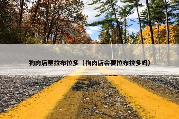 狗肉店里拉布拉多（狗肉店会要拉布拉多吗）