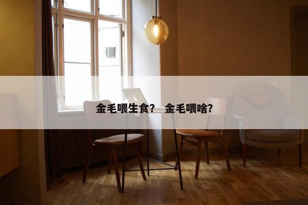 金毛喂生食？ 金毛喂啥？