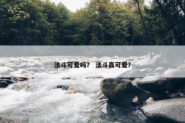 法斗可爱吗？ 法斗真可爱？