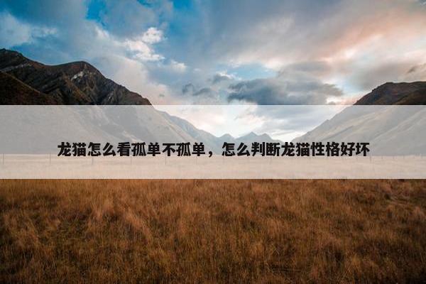 龙猫怎么看孤单不孤单，怎么判断龙猫性格好坏