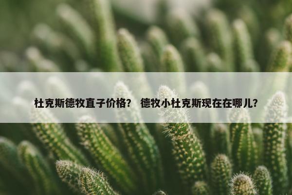 杜克斯德牧直子价格？ 德牧小杜克斯现在在哪儿？