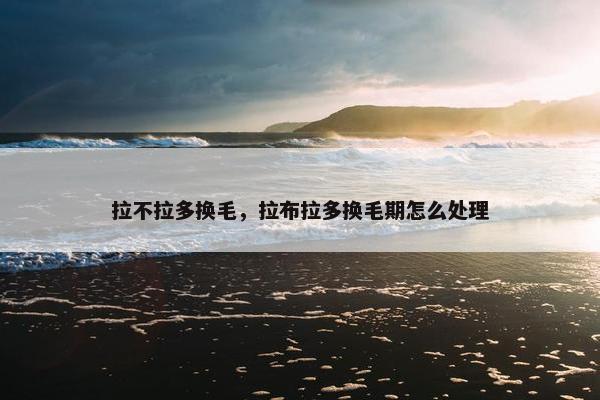 拉不拉多换毛，拉布拉多换毛期怎么处理