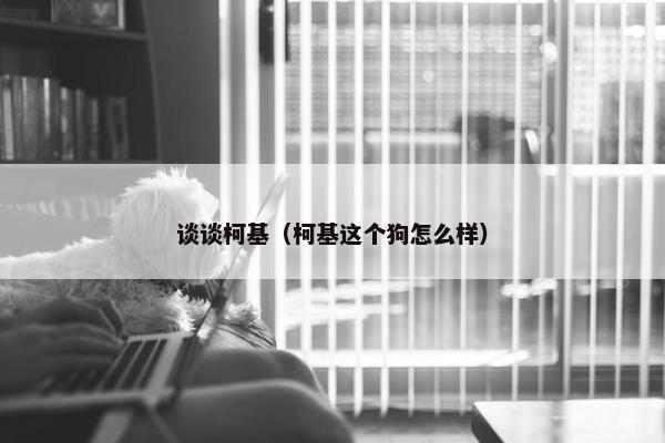 谈谈柯基（柯基这个狗怎么样）