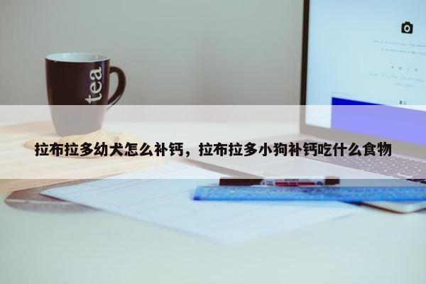 拉布拉多幼犬怎么补钙，拉布拉多小狗补钙吃什么食物