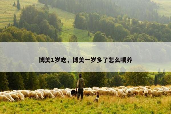 博美1岁吃，博美一岁多了怎么喂养