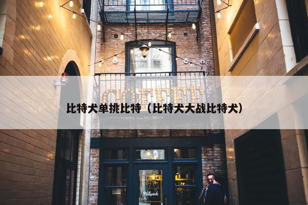 比特犬单挑比特（比特犬大战比特犬）