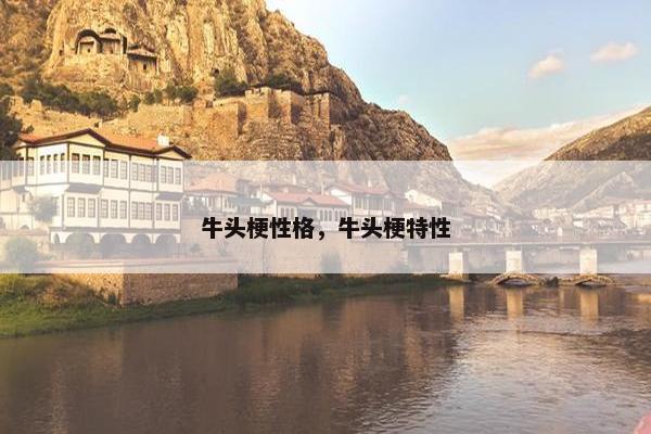 牛头梗性格，牛头梗特性