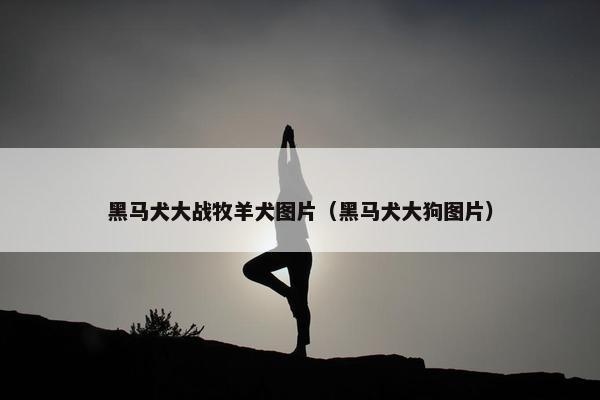 黑马犬大战牧羊犬图片（黑马犬大狗图片）