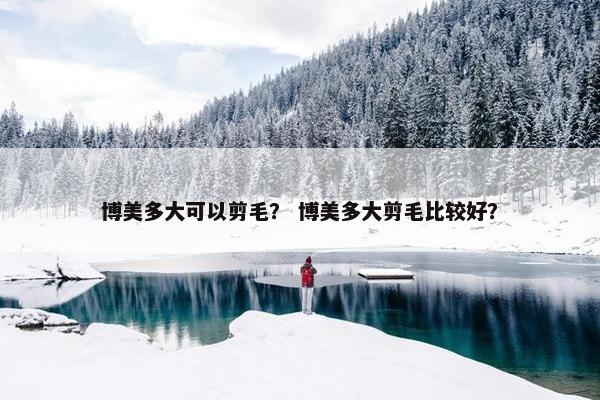 博美多大可以剪毛？ 博美多大剪毛比较好？