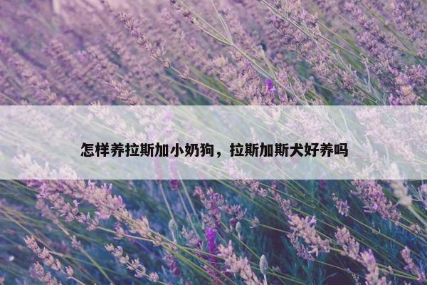 怎样养拉斯加小奶狗，拉斯加斯犬好养吗