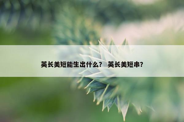英长美短能生出什么？ 英长美短串？