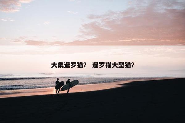 大集暹罗猫？ 暹罗猫大型猫？