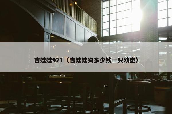 吉娃娃921（吉娃娃狗多少钱一只幼崽）