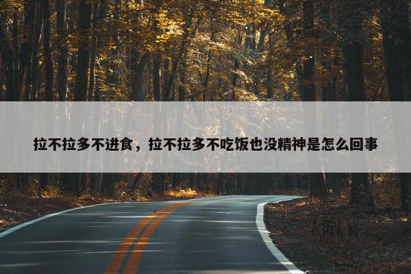 拉不拉多不进食，拉不拉多不吃饭也没精神是怎么回事