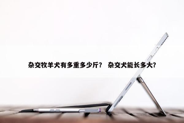 杂交牧羊犬有多重多少斤？ 杂交犬能长多大？