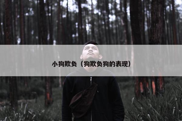 小狗欺负（狗欺负狗的表现）