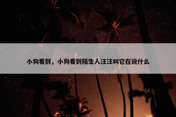 小狗看到，小狗看到陌生人汪汪叫它在说什么