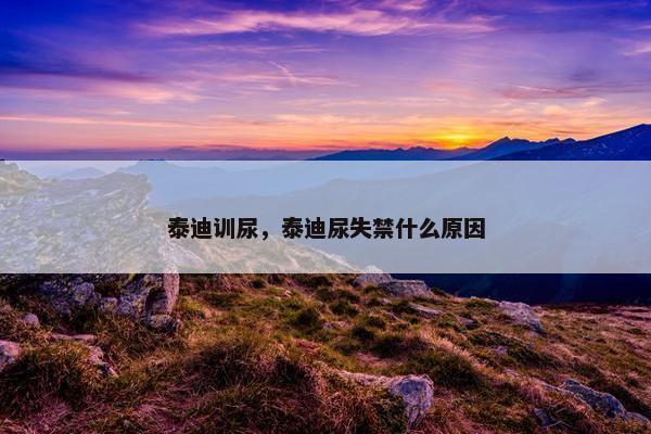 泰迪训尿，泰迪尿失禁什么原因