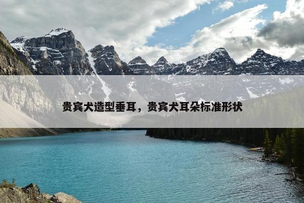 贵宾犬造型垂耳，贵宾犬耳朵标准形状