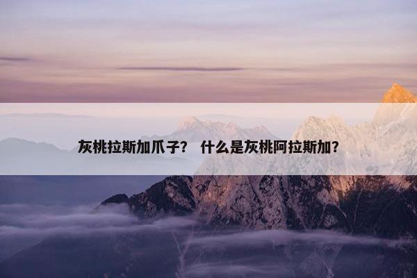 灰桃拉斯加爪子？ 什么是灰桃阿拉斯加？