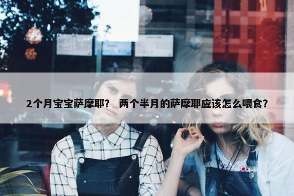 2个月宝宝萨摩耶？ 两个半月的萨摩耶应该怎么喂食？