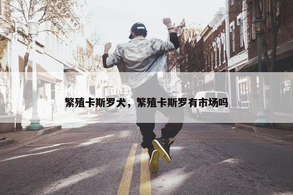 繁殖卡斯罗犬，繁殖卡斯罗有市场吗