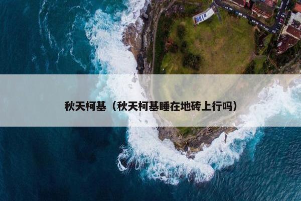 秋天柯基（秋天柯基睡在地砖上行吗）