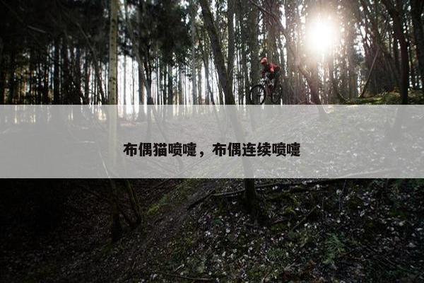 布偶猫喷嚏，布偶连续喷嚏