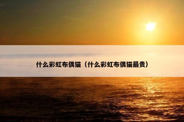 什么彩虹布偶猫（什么彩虹布偶猫最贵）