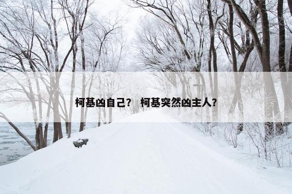 柯基凶自己？ 柯基突然凶主人？
