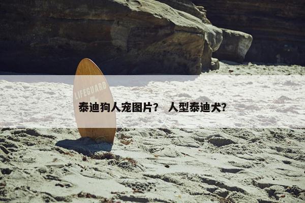 泰迪狗人宠图片？ 人型泰迪犬？