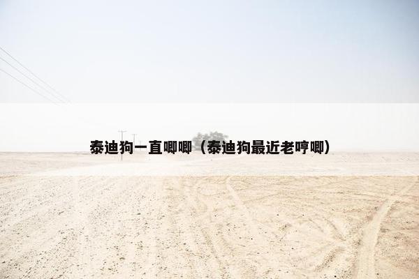 泰迪狗一直唧唧（泰迪狗最近老哼唧）