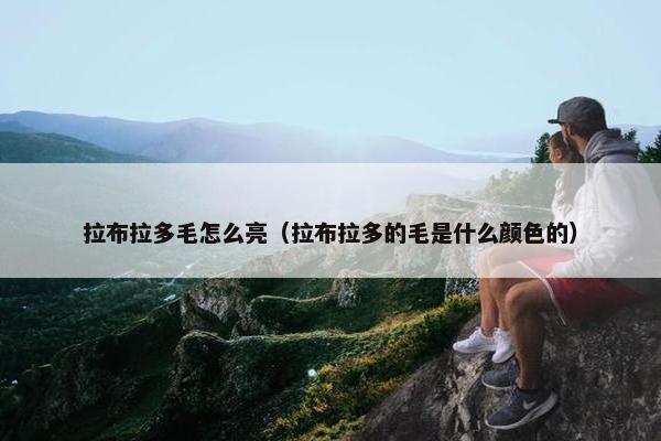 拉布拉多毛怎么亮（拉布拉多的毛是什么颜色的）