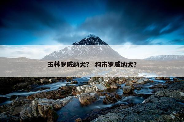 玉林罗威纳犬？ 狗市罗威纳犬？
