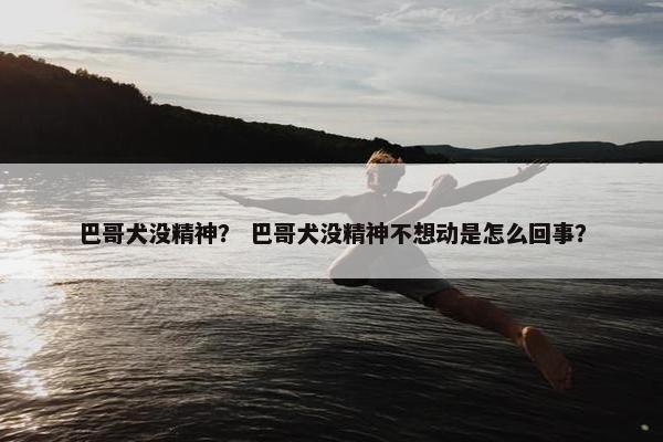 巴哥犬没精神？ 巴哥犬没精神不想动是怎么回事？
